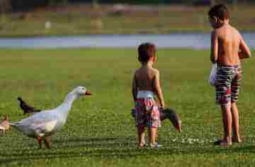 Semana terá temperaturas elevadas e pancadas isoladas de chuva no Paraná